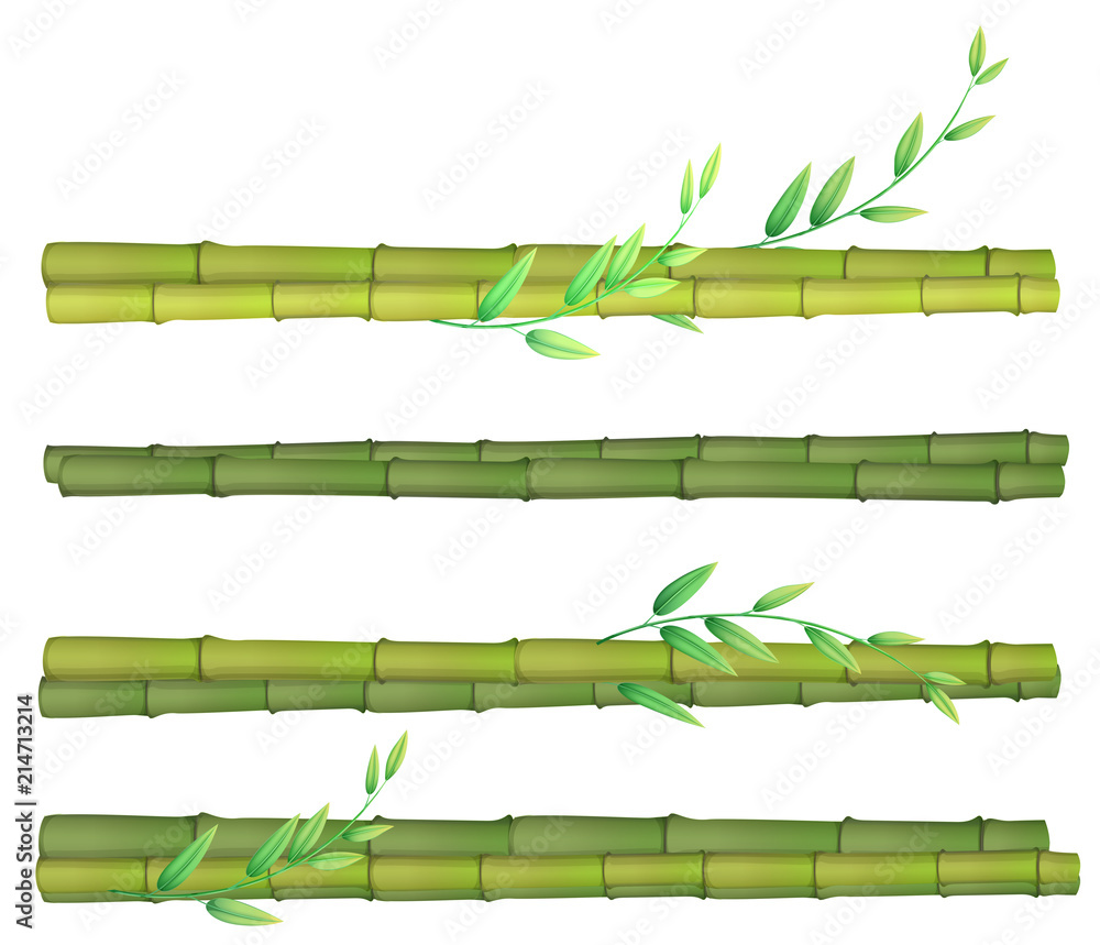 A set of bamboo on white background