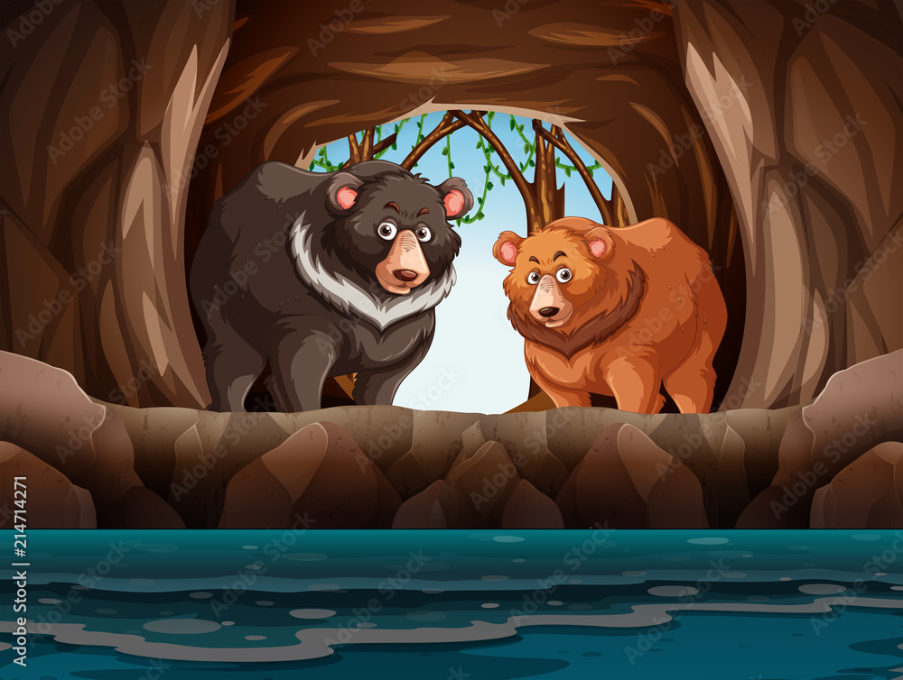 Grizzly bears living in the cave