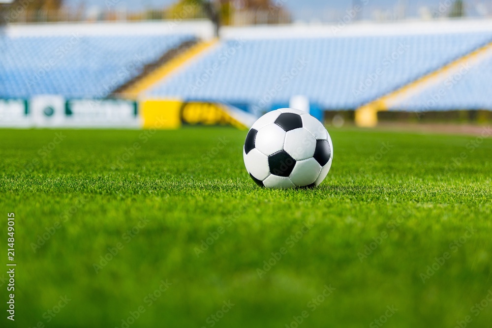 Soccer Ball on Grass