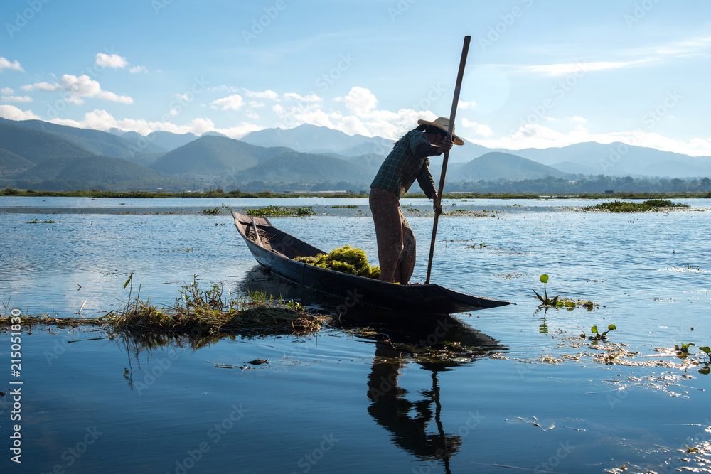 Intha妇女（生活在这个湖上的土著人）在第二大湖Inle湖钓鱼