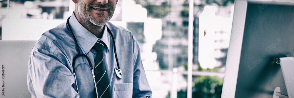 Portrait of smiling doctor working on computer