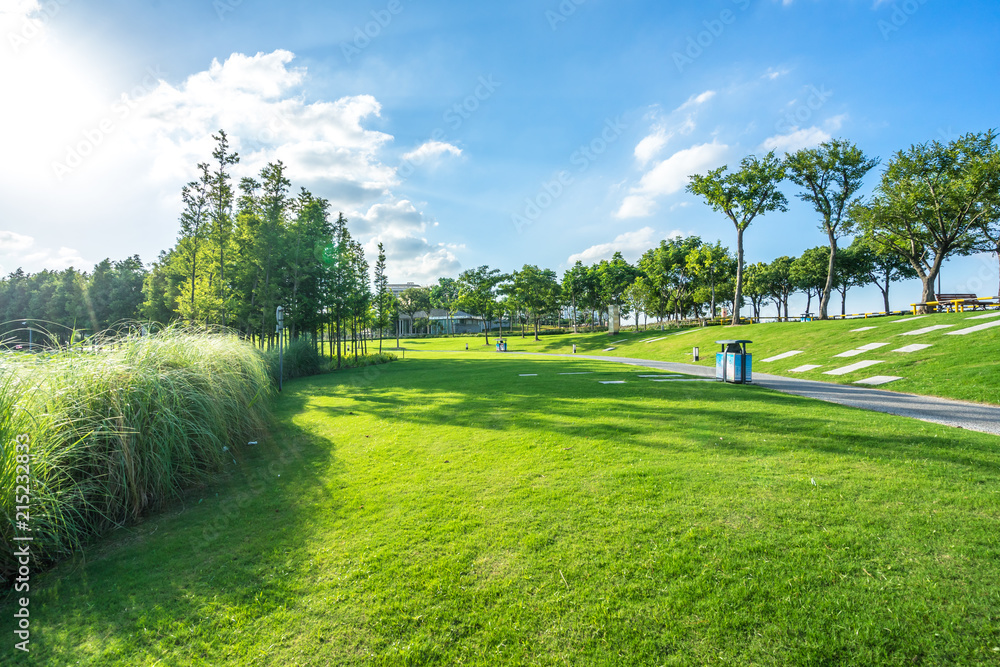 绿色草坪的城市天际线