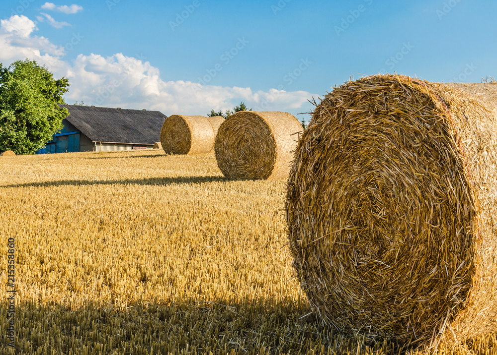 陶努斯坦的Strohballen auf einem Kornfeld