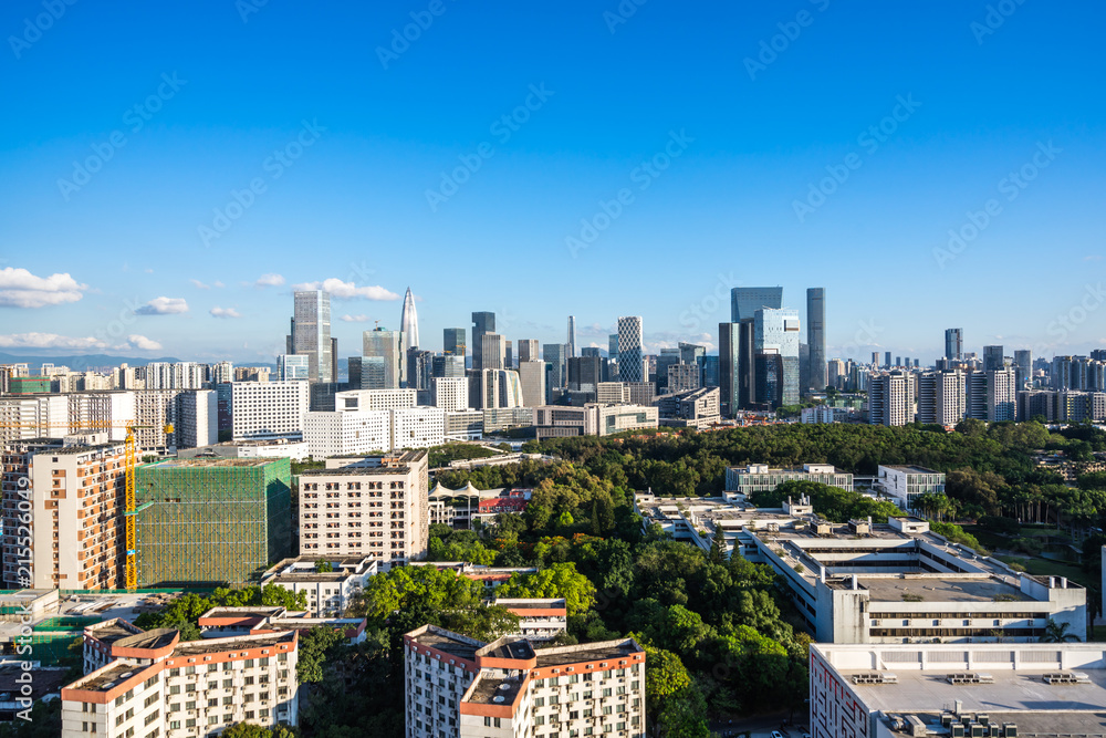 城市天际线全景