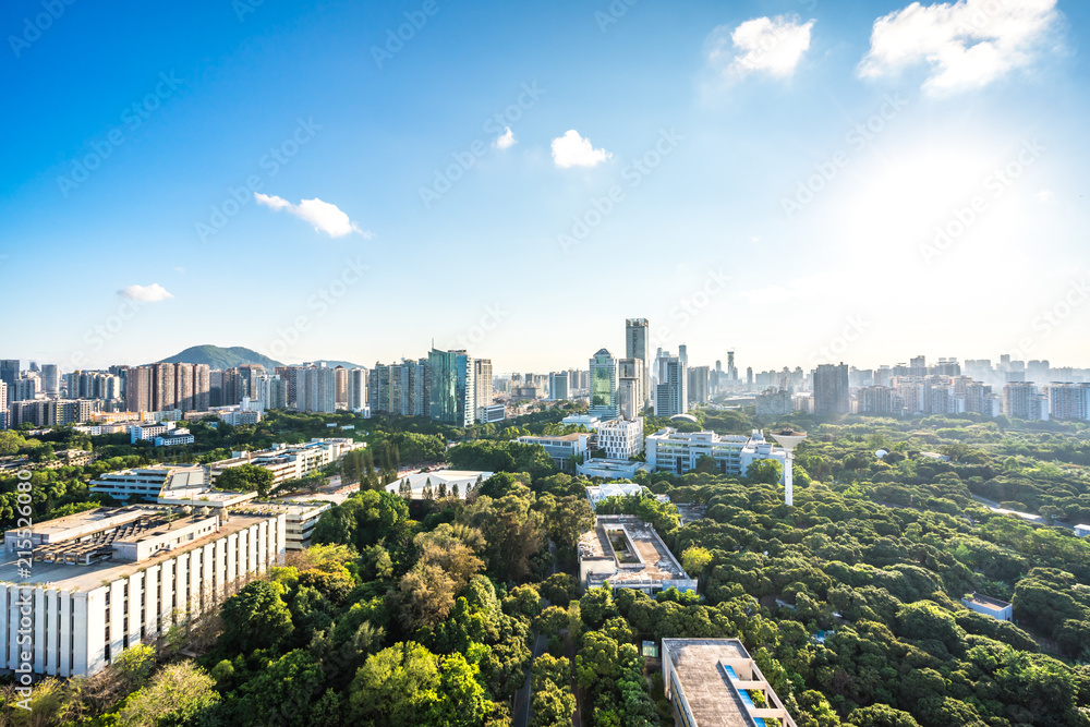 城市天际线全景