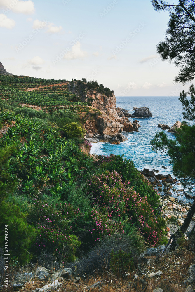 Beautiful natural landscape with blue sea, sky, green hills with blooming trees and rocks. Hidden tu