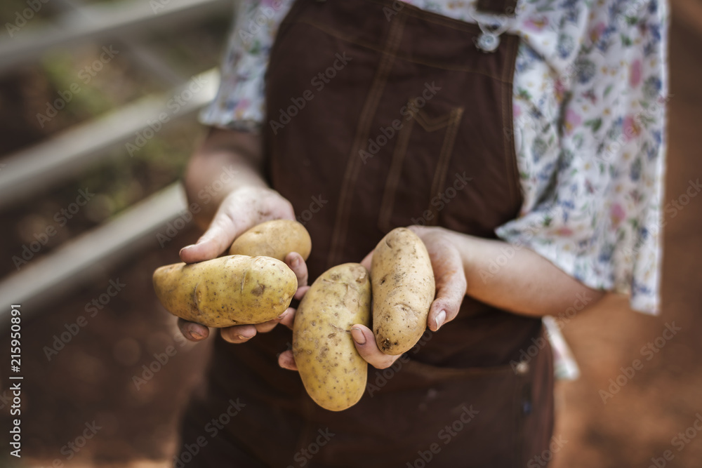 一个拿着土豆的女人摄影食谱创意