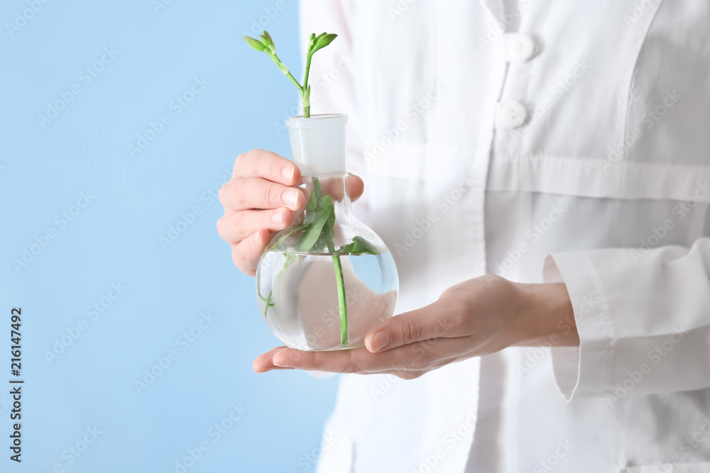 Laboratory worker holding flask with plant on color background, closeup