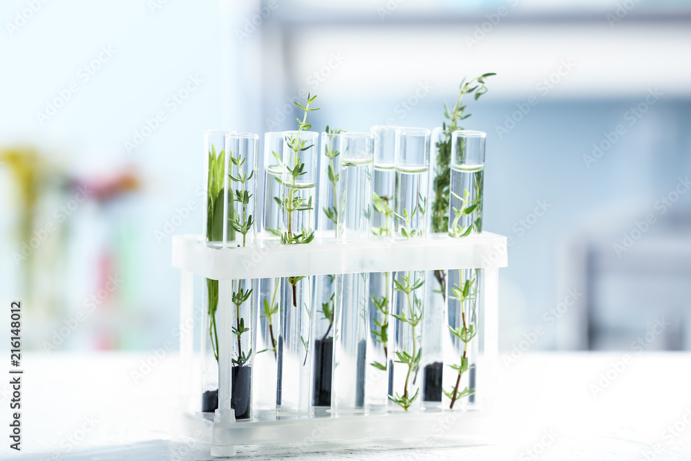 Test tubes with plants on table in laboratory