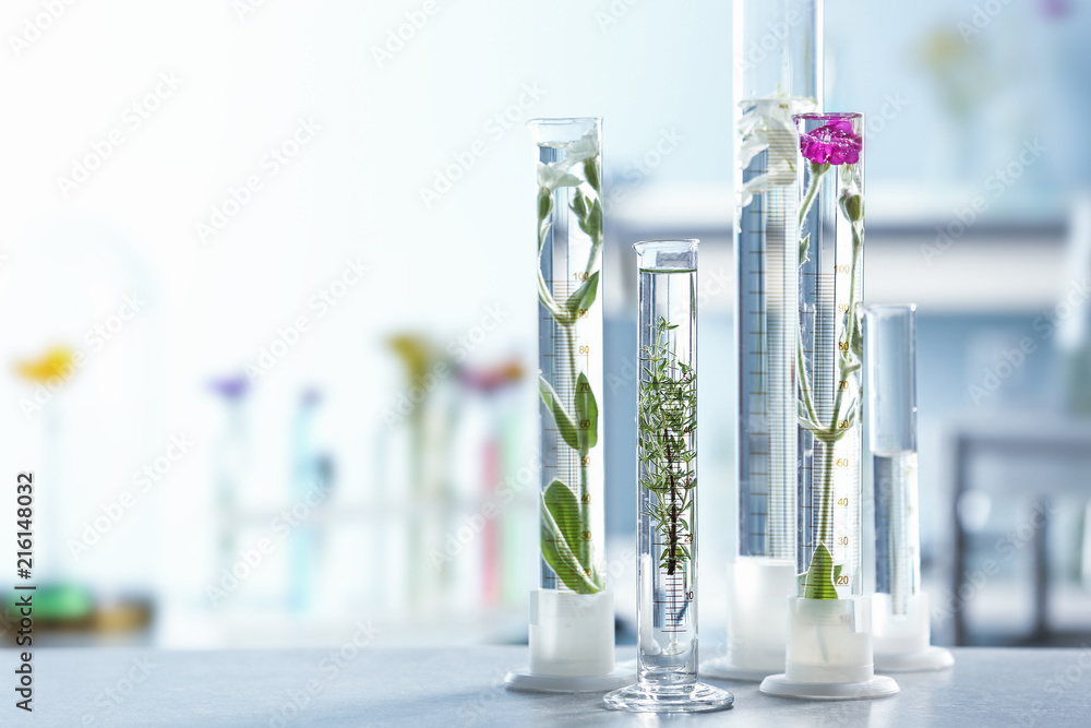 Test tubes with plants and flowers on table in laboratory