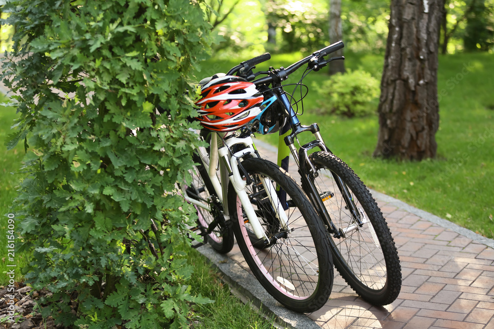 Modern bicycles in park on summer day