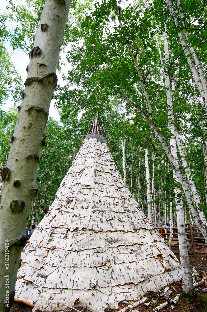 白桦林中的小屋。