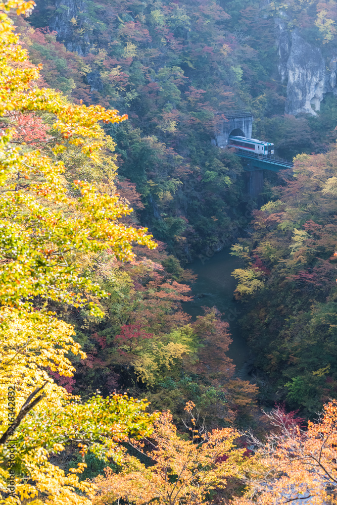 秋季Naruko峡谷的Rikuu线