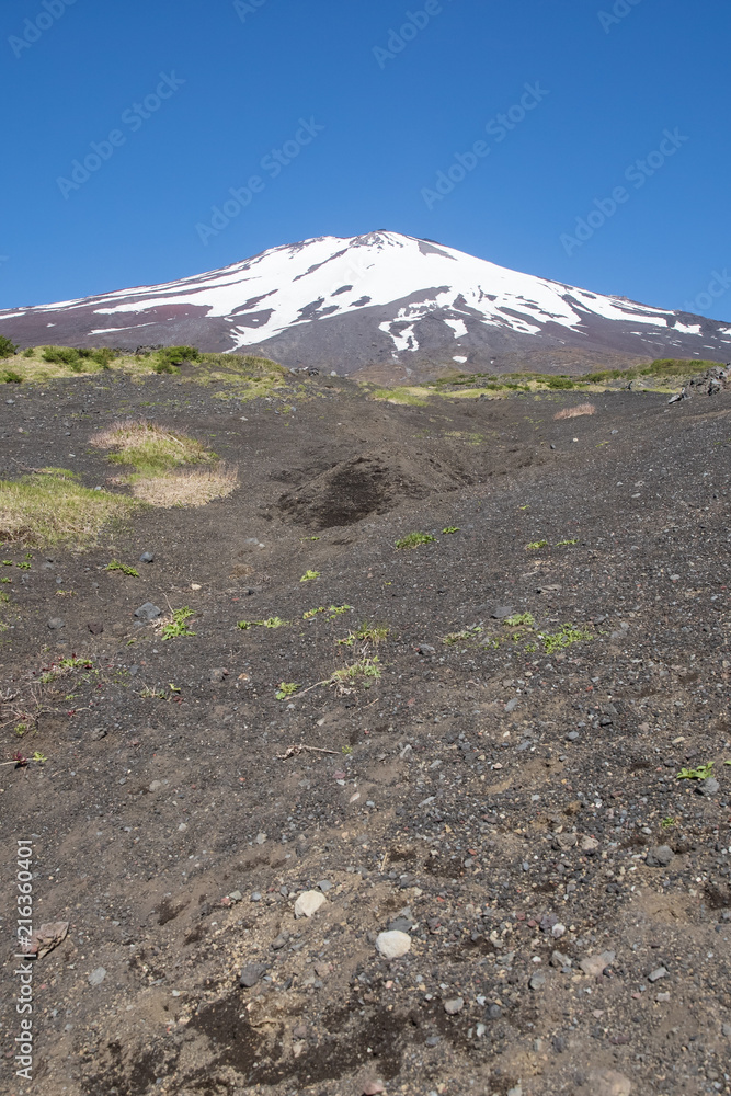 富士山之巅有雪，春天的富士山自然休闲林径