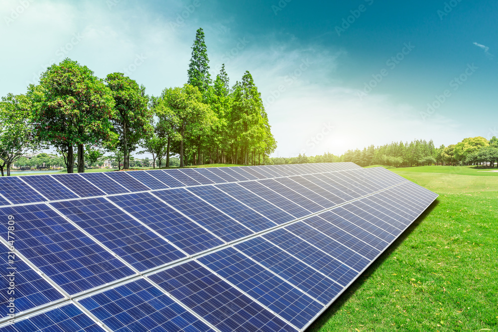 Solar panels and trees natural scenery,green energy concept