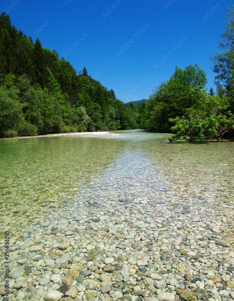 森林与河流