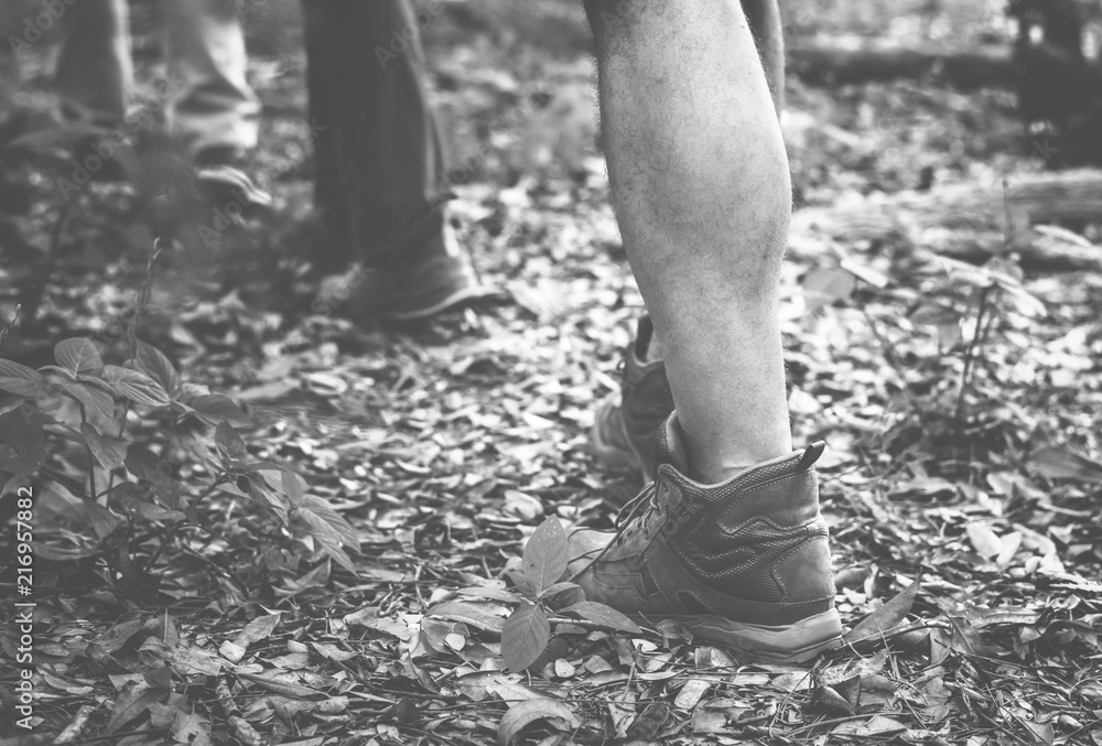 People trekking in the forest