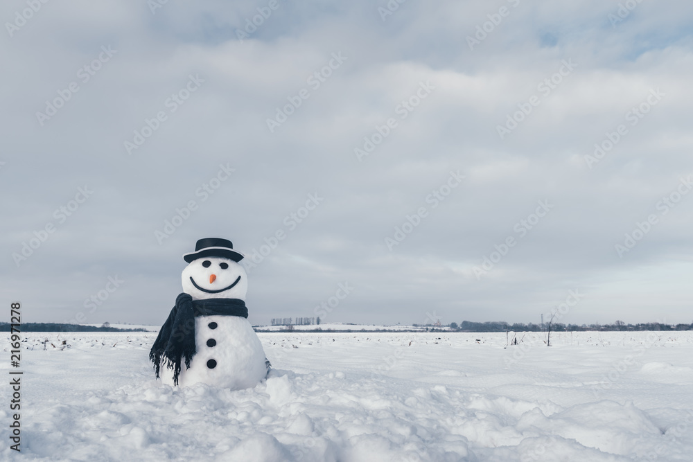 雪地上戴着时髦帽子和黑色鳞片的有趣雪人。圣诞快乐，新年快乐！