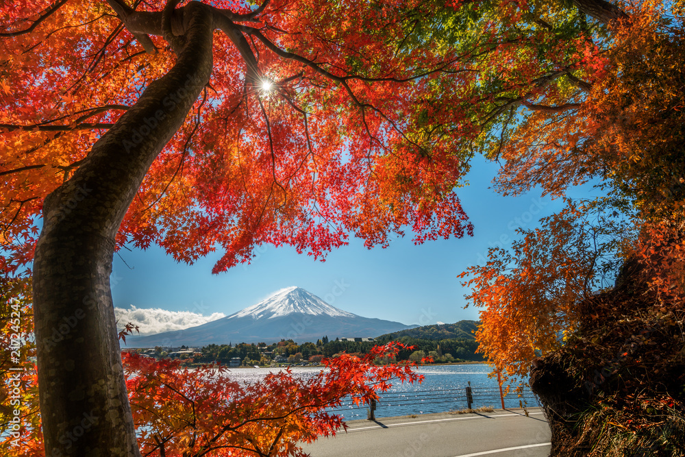 日本秋色富士山