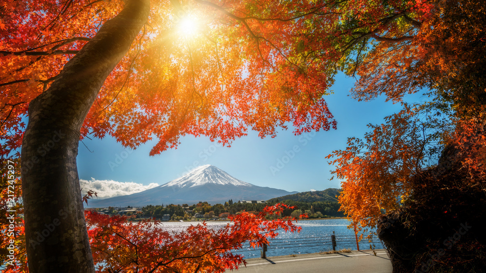 Mount Fuji in Autumn Color, Japan