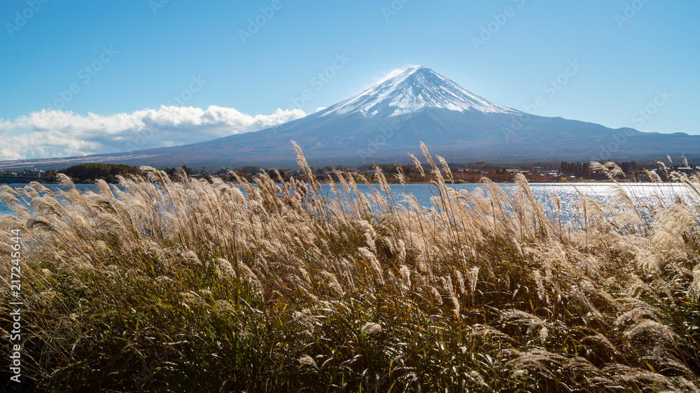 日本秋色富士山