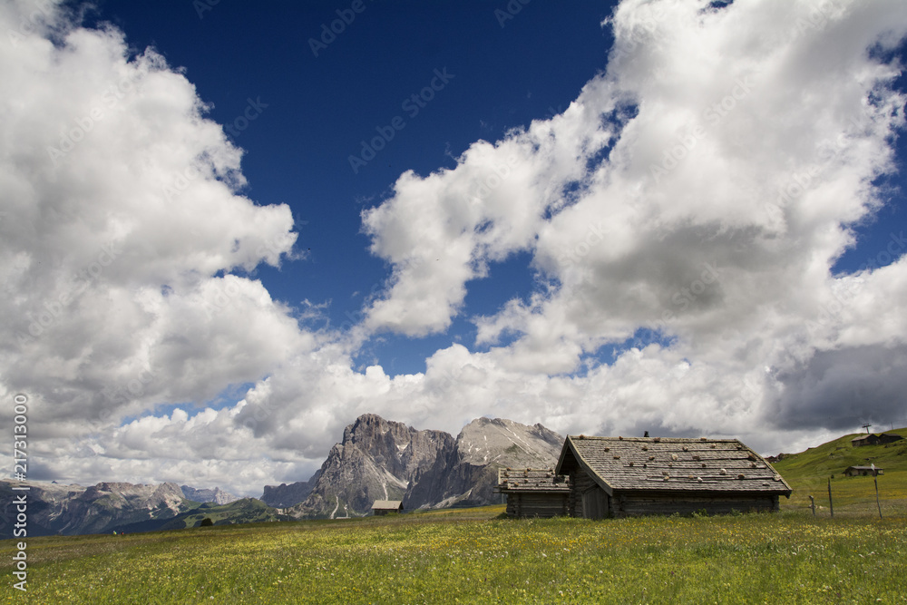 Seiser Alm im Sommer