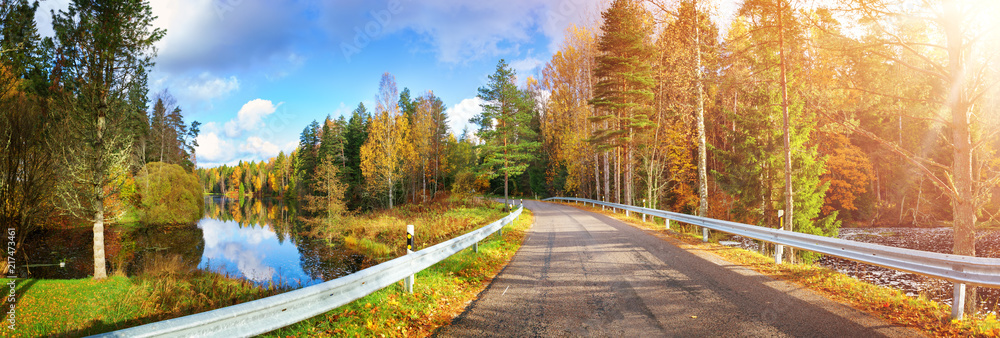 秋天高速公路上的美丽风景。阳光明媚的秋天道路