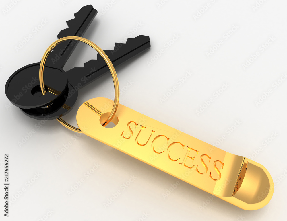 key to success concept . 3d rendered illustration