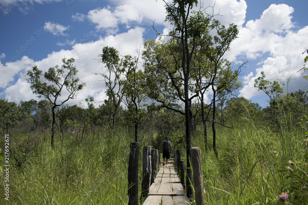 Caminhando na ponte