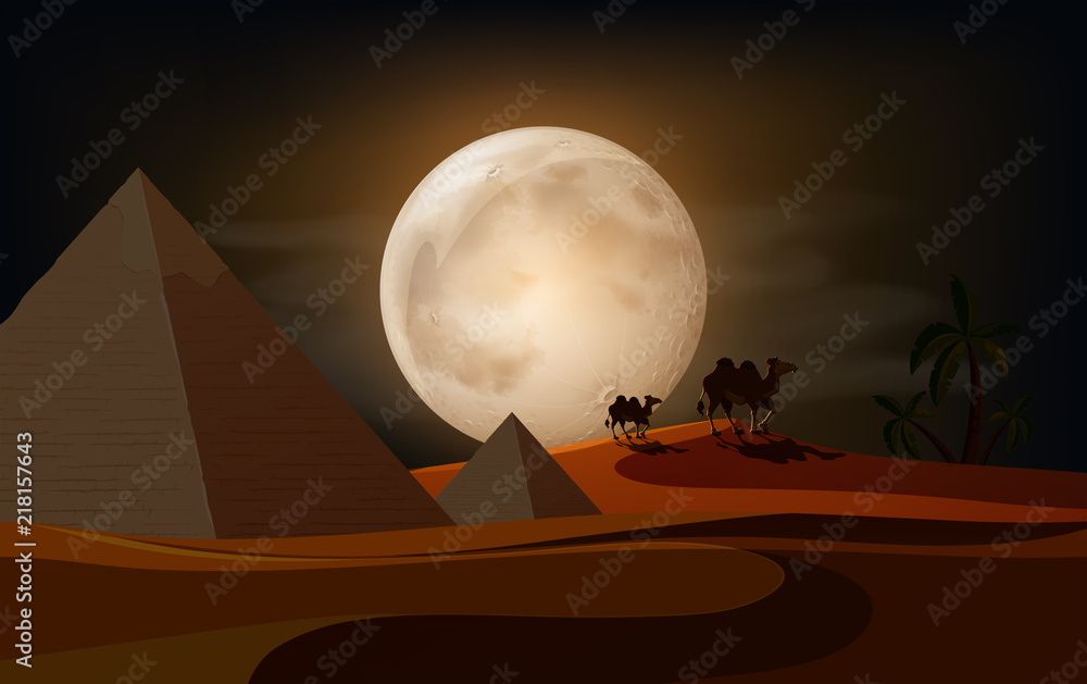 A beautiful desert at night