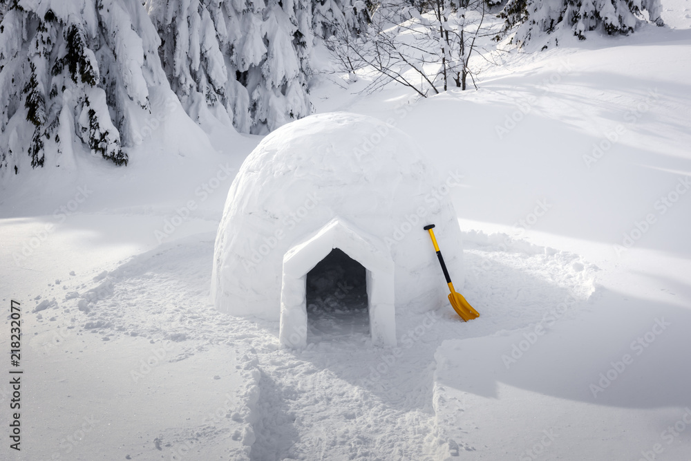 喀尔巴阡山脉冬季的真正雪屋。背景是白雪覆盖的冷杉