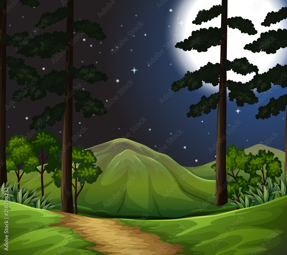 woods at night scene