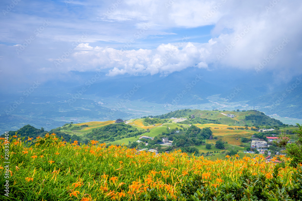 六十石山（柳石丹山）的橙色黄花菜（茶色黄花菜）花场，蓝s