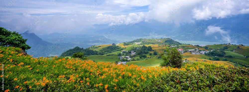 六十石山（柳石丹山）的橙色黄花菜（茶色黄花菜）花场，蓝s