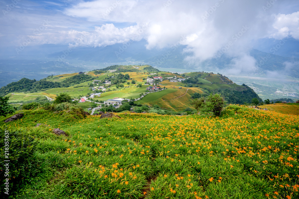 六十石山（柳石丹山）的橙色黄花菜（茶色黄花菜）花场，蓝s