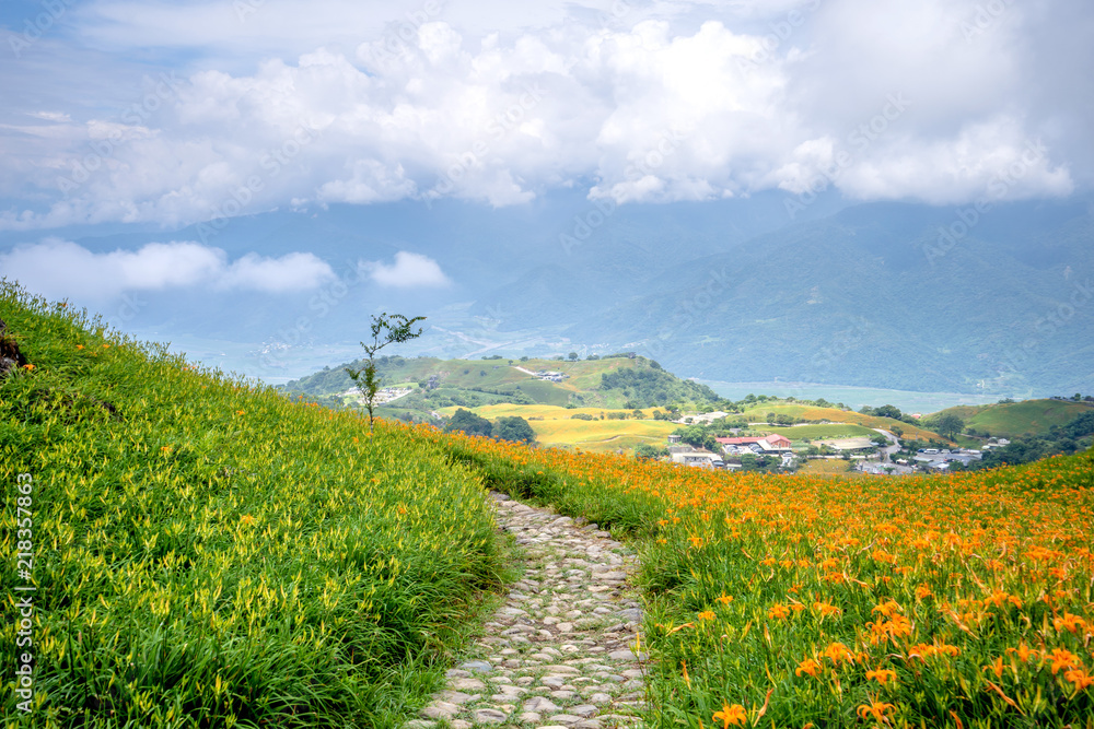 大和花莲东裂谷廖石丹山（六十岩山）的采光山坡