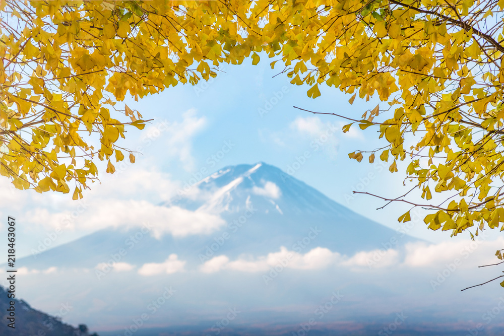 早上川口湖的富士山上有黄叶银杏