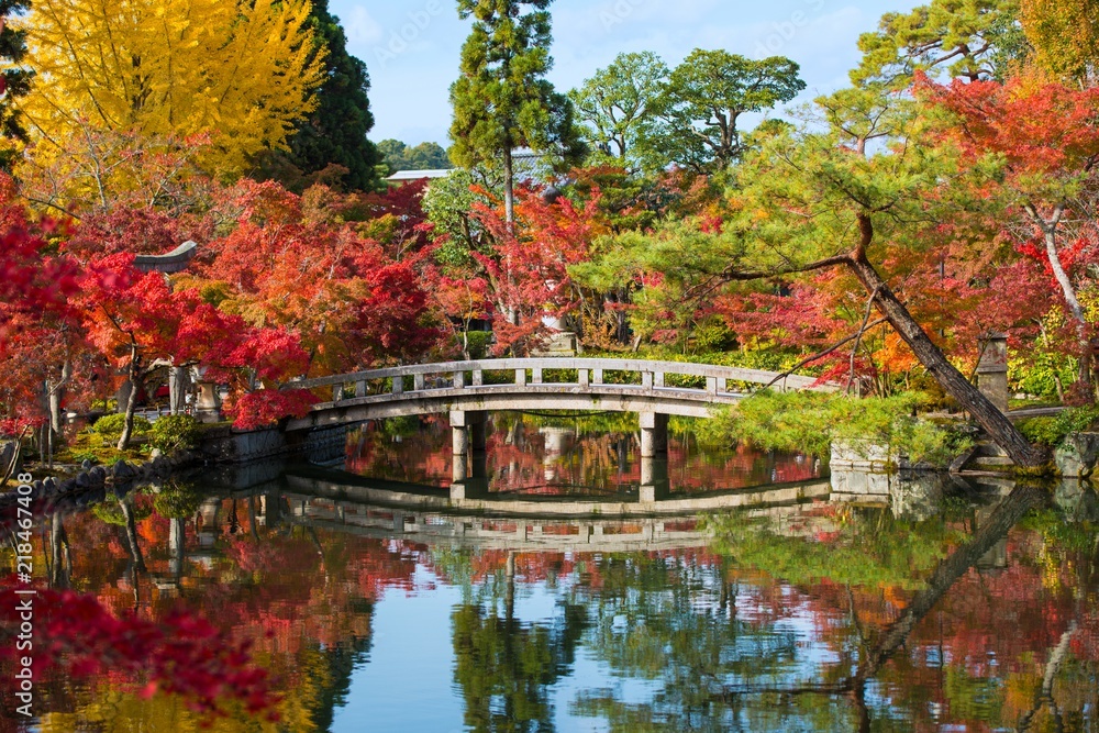 極楽橋の紅葉