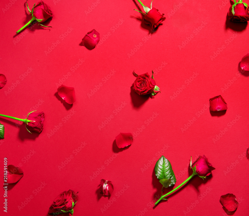 Beautiful red roses on red background. Holiday rose flowers with leaves and petals flatlay. Love, St