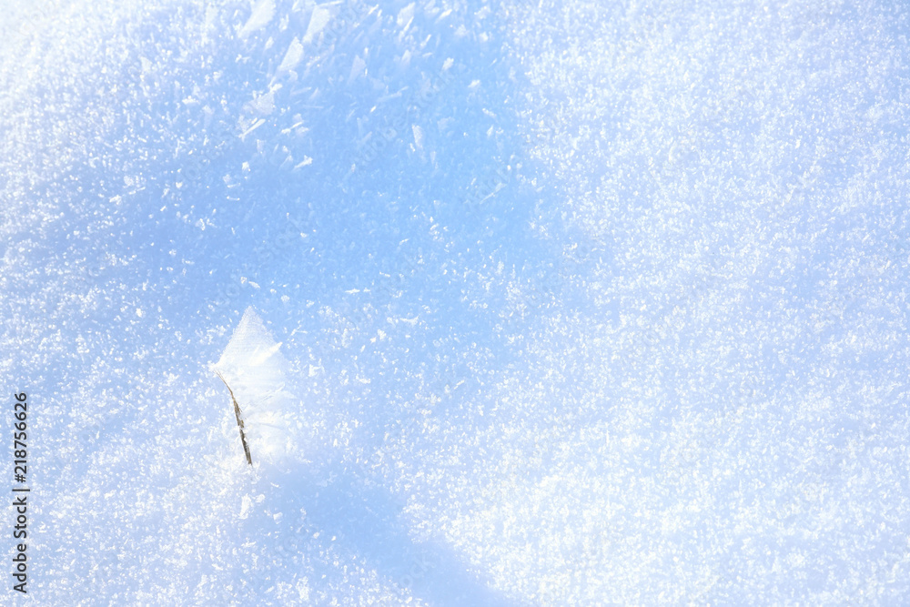 美丽的圣诞节冬季自然形象。雪堆中晨光中的草茎被覆盖