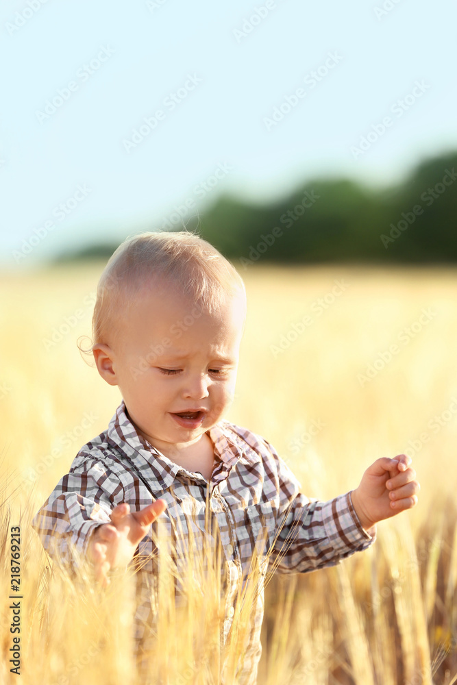 Cute little baby in wheat field on summer day