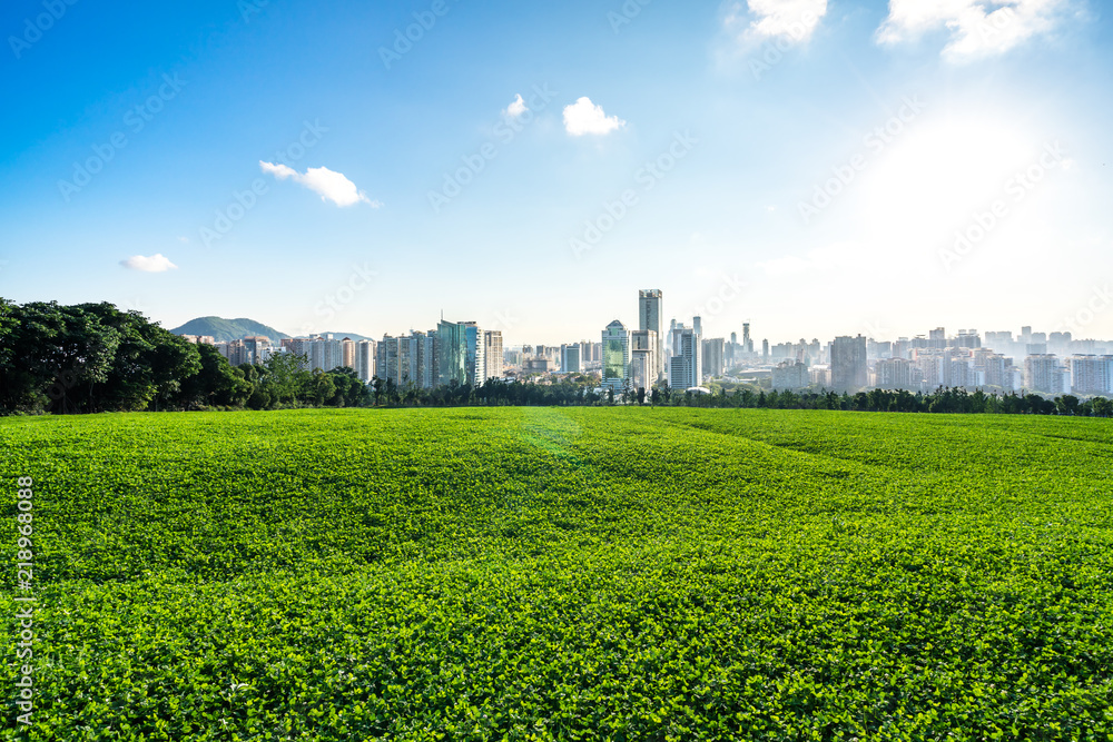 中国杭州西湖景观