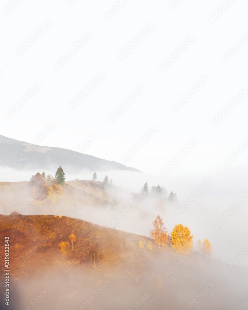 Amazing scene on autumn mountains. Yellow and orange trees in fantastic morning sunlight. Carpathian