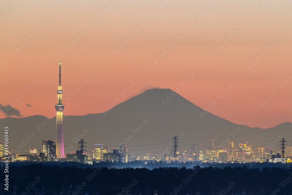 东京夜景，东京天树地标，东京市中心建筑区和胜利的富士山