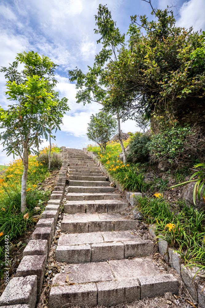 六十石山（柳石丹山）的橙色黄花（茶色黄花）花卉农场，蓝色s