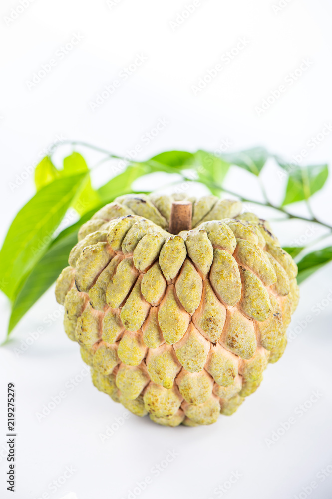 fresh sugar apple fruit(Custard Apple),sweetsop on white background