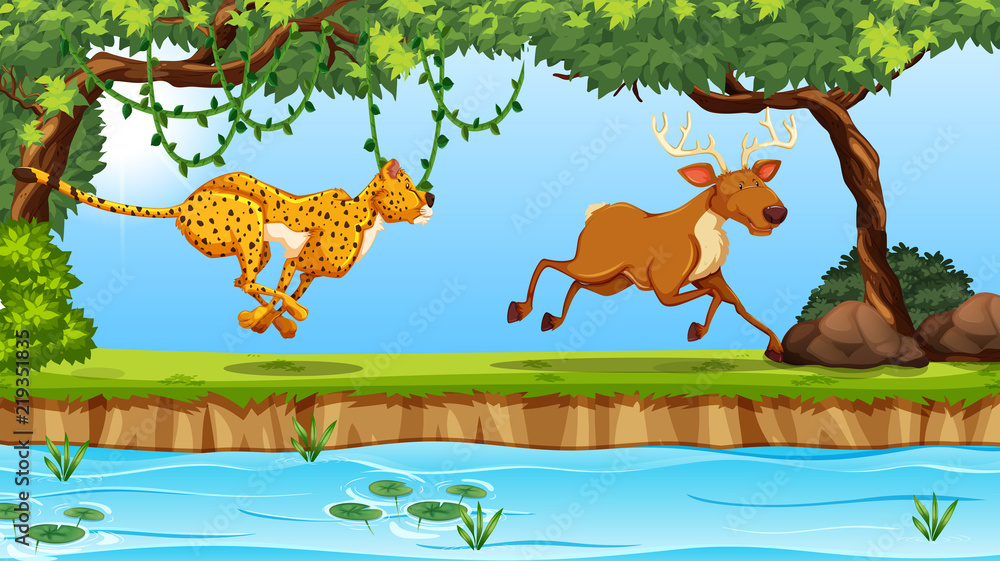 cheetah and deer scene