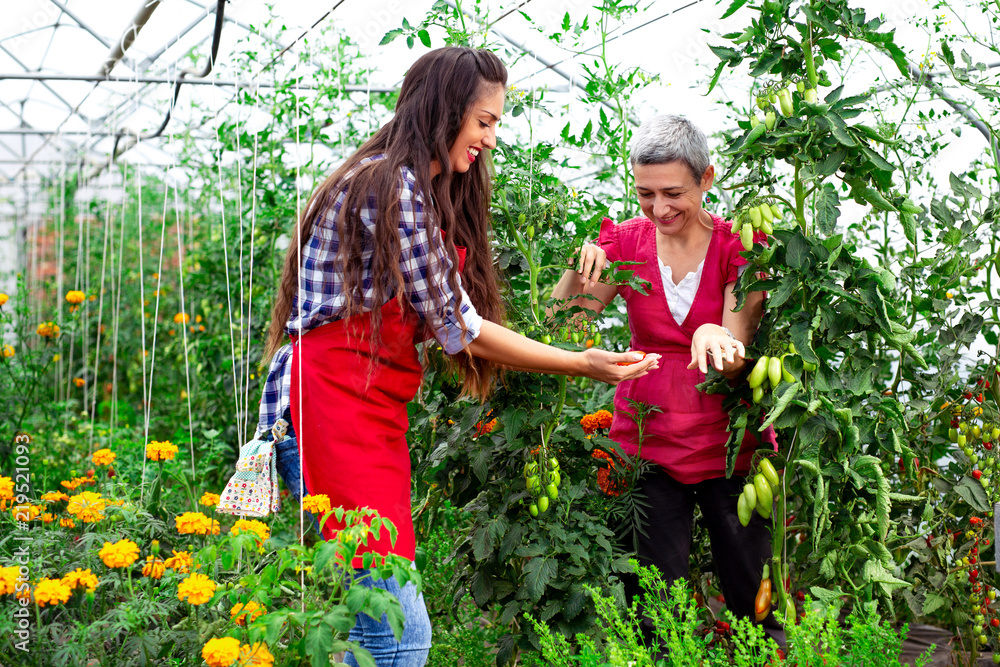 Young girl with mother working in vegetable garden