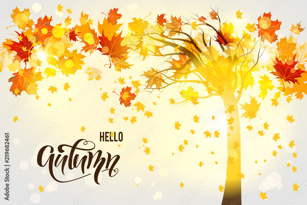 Fall tree background