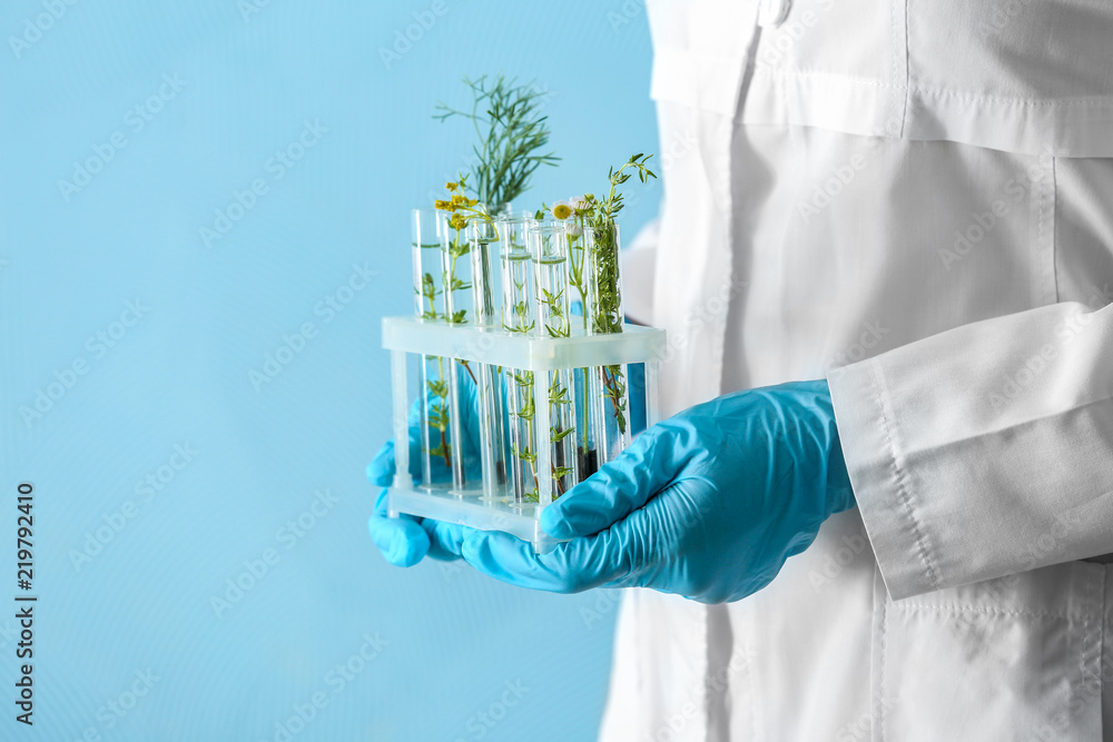 Laboratory worker holding test tubes with plants on color background, closeup